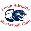 南阿德莱德黑豹